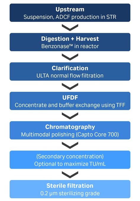 lv suspension|Scalable lentiviral vector clarification .